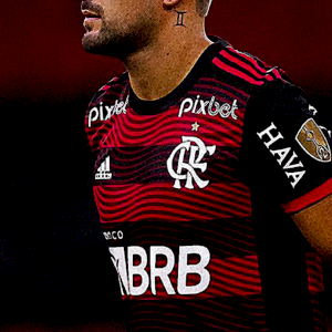joaoamerico664