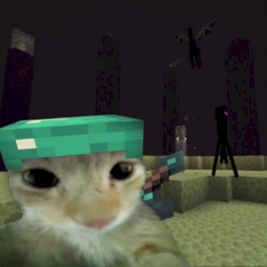 Allanwq