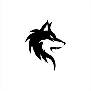 Silver Fox E-commerce